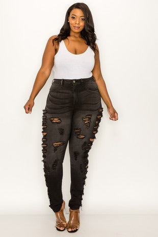 Nicole Plus Size Highwaist Skinny Jeans